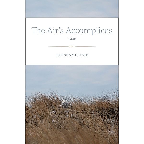 The Air's Accomplices, Brendan Galvin
