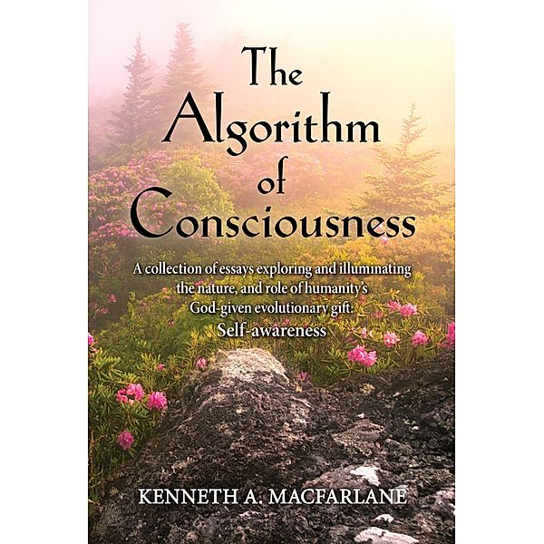 The Algorithm of Consciousness, Kenneth Macfarlane