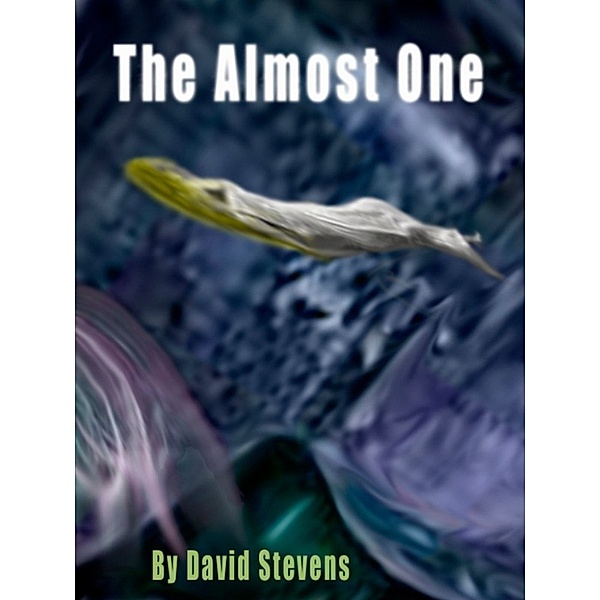 The Almost One, David Stevens