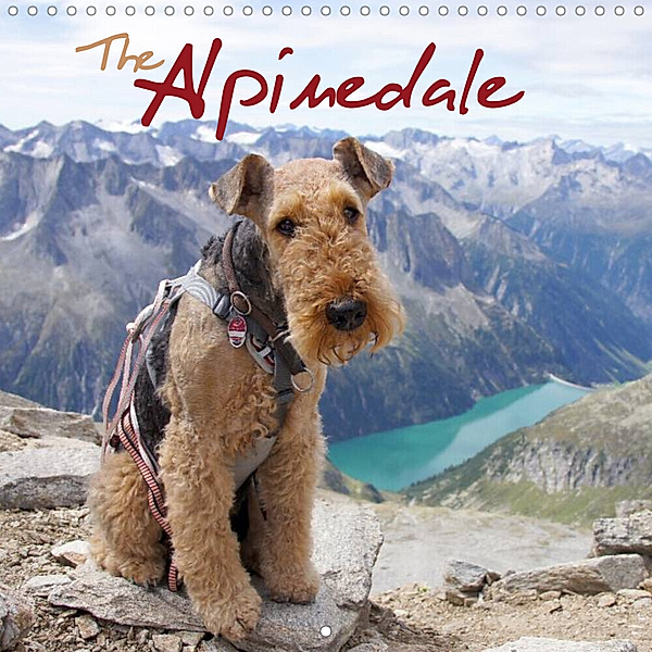 The Alpinedale (Wall Calendar 2023 300 × 300 mm Square), Antje Becker