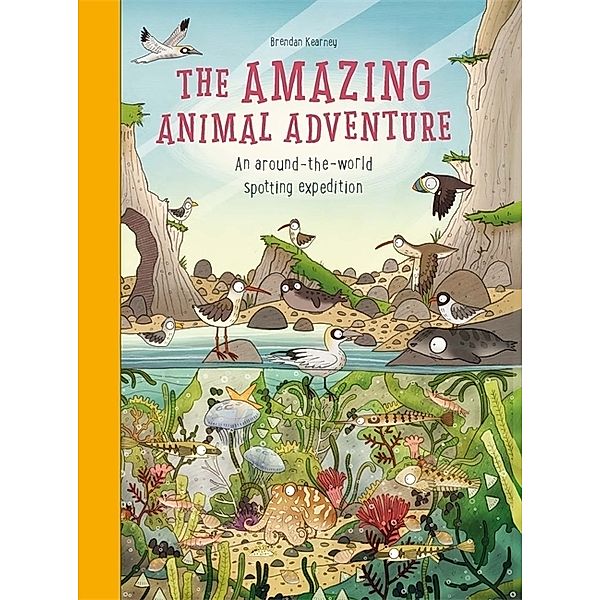 The Amazing Animal Adventure, Anna Claybourne