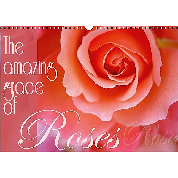 The amazing grace of Roses (Wall Calendar 2018 DIN A3 Landscape), Christine B-B Müller