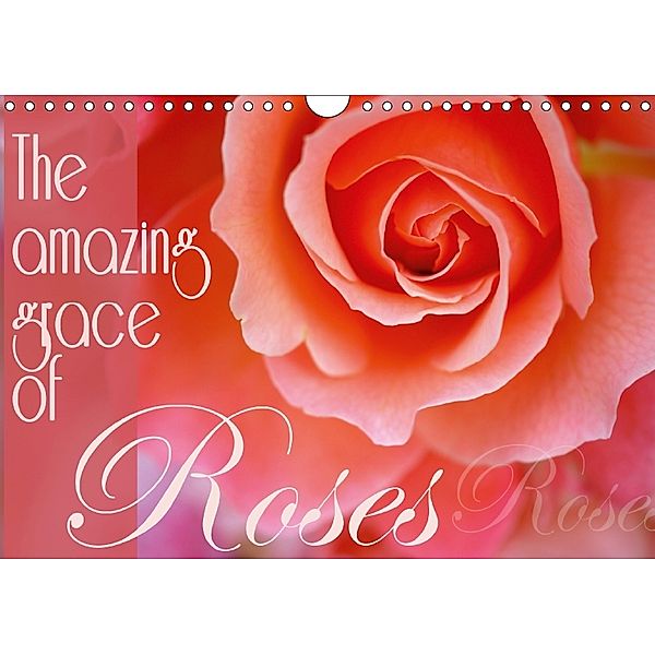 The amazing grace of Roses (Wall Calendar 2018 DIN A4 Landscape), Christine B-B Müller