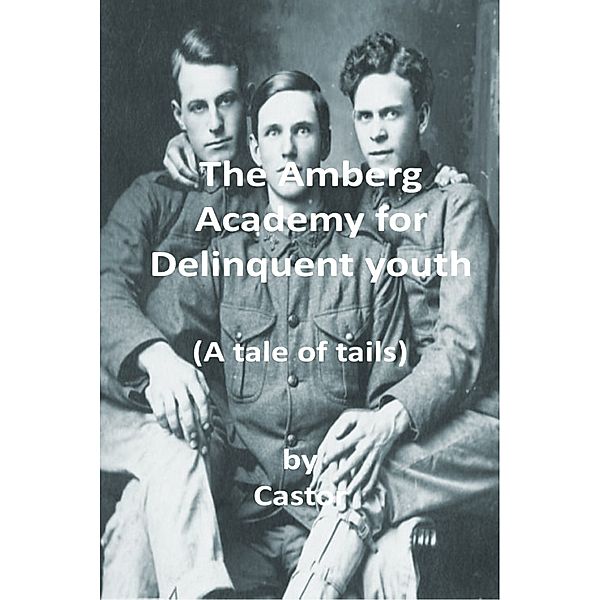 The Amberg Academy for delinquent youth: (A 19th Century Tale of Tails), James Castor
