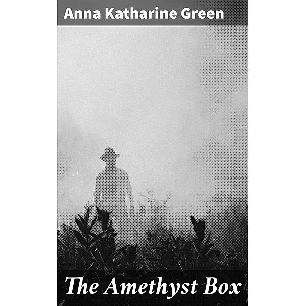 The Amethyst Box, Anna Katharine Green