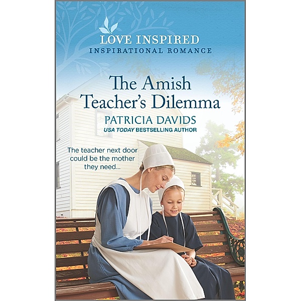 The Amish Teacher's Dilemma / North Country Amish Bd.2, Patricia Davids