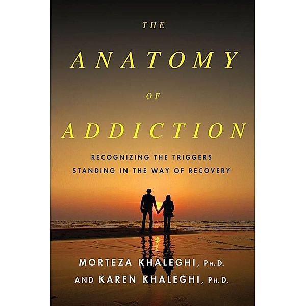 The Anatomy of Addiction, Morteza Khaleghi, Karen Khaleghi