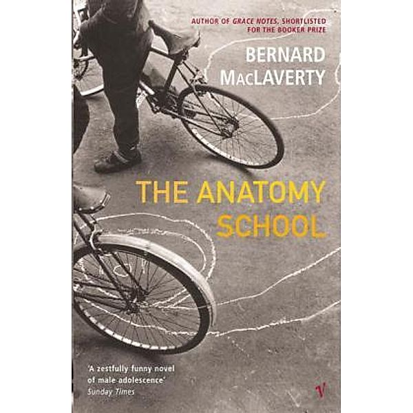 The Anatomy School, Bernard Maclaverty