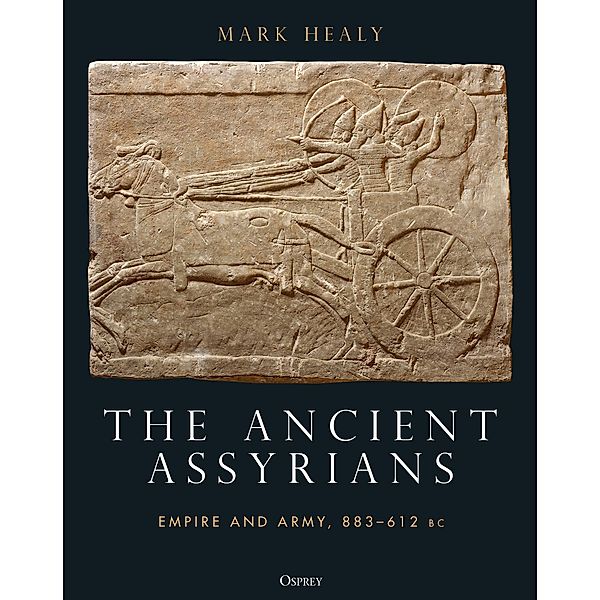 The Ancient Assyrians, Mark Healy