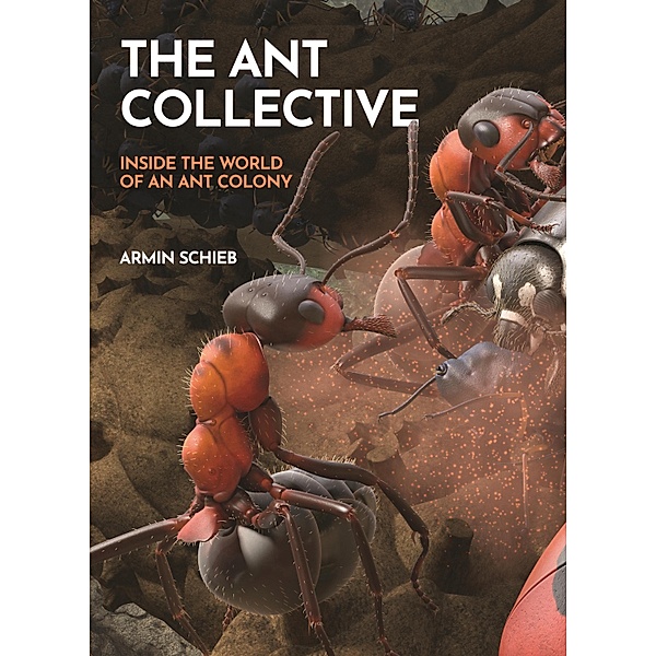 The Ant Collective, Armin Schieb