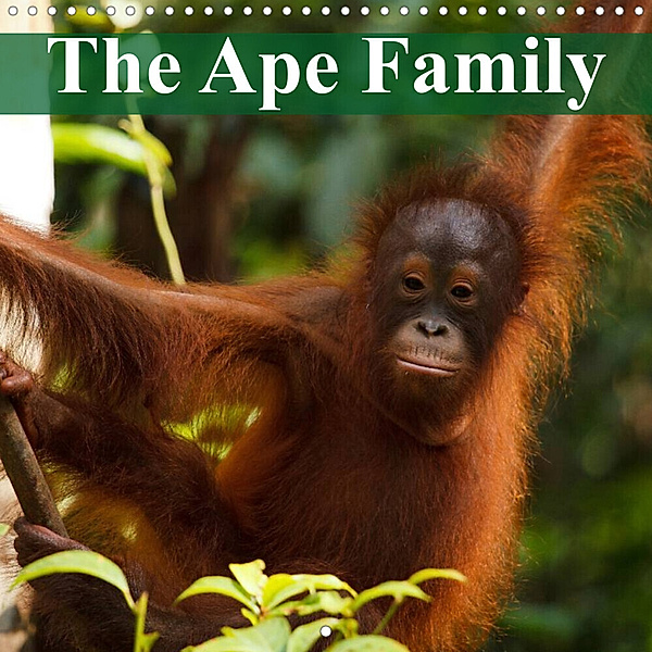 The Ape Family (Wall Calendar 2023 300 × 300 mm Square), Elisabeth Stanzer