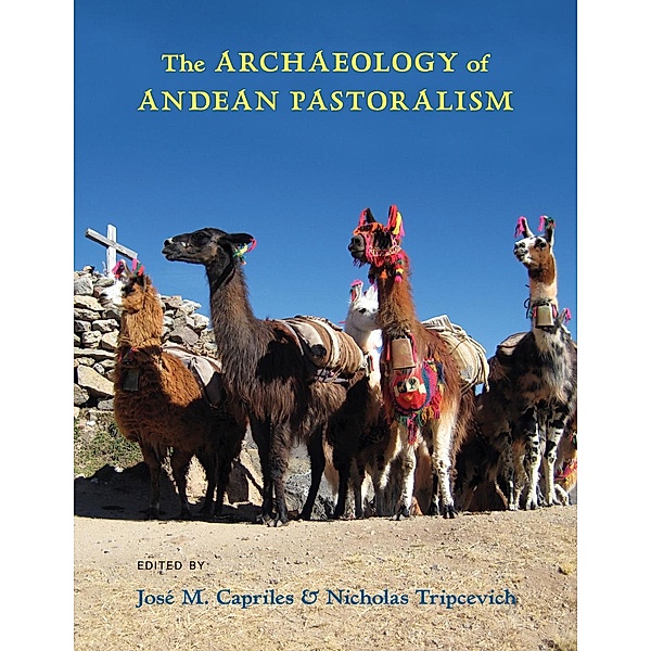The Archaeology of Andean Pastoralism