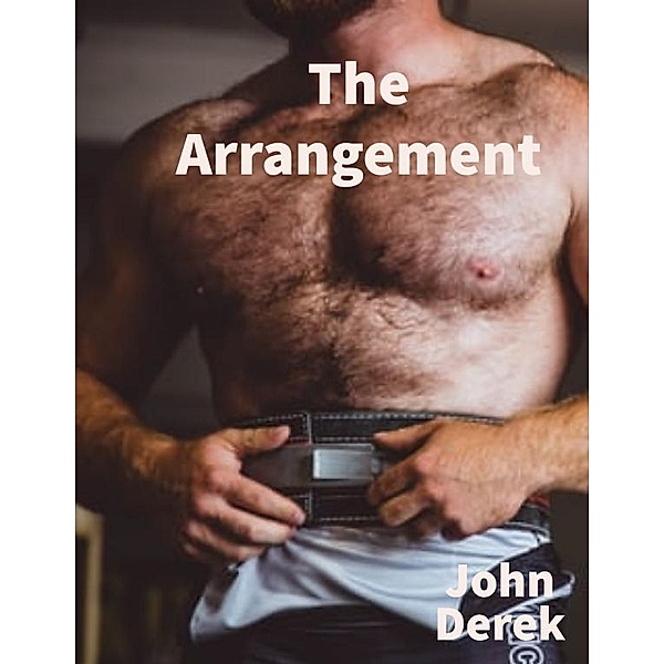 The Arrangement, John Derek