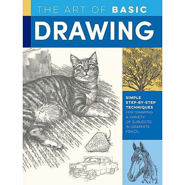 The Art of Basic Drawing / Collector's Series, William F. Powell, Michael Butkus, Walter Foster, Mia Tavonatti