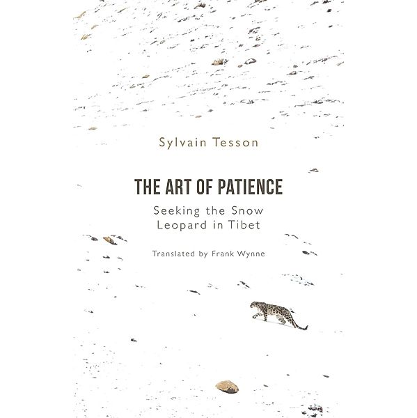 The Art of Patience, Sylvain Tesson