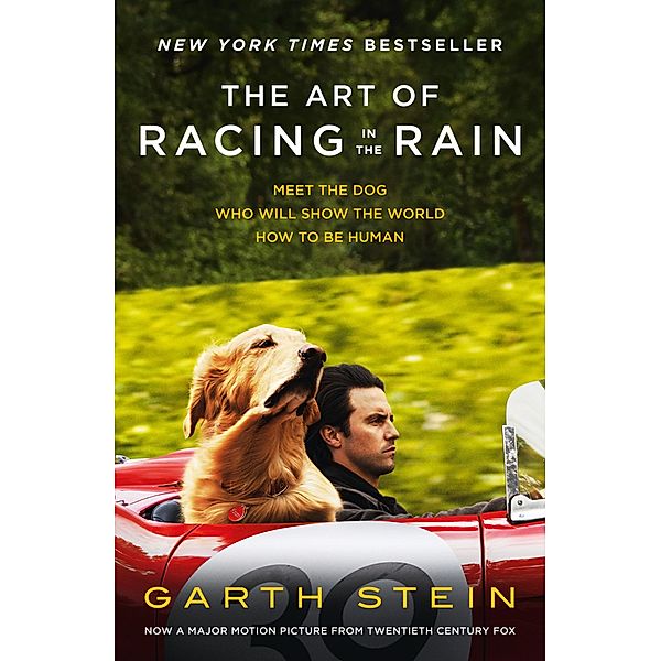 The Art of Racing in the Rain, Garth Stein