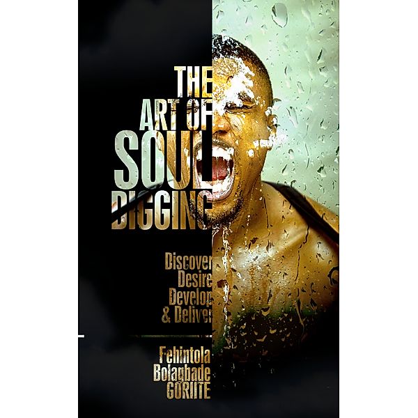 The Art Of Soul Digging, Fehintola Bolagbade Goriite