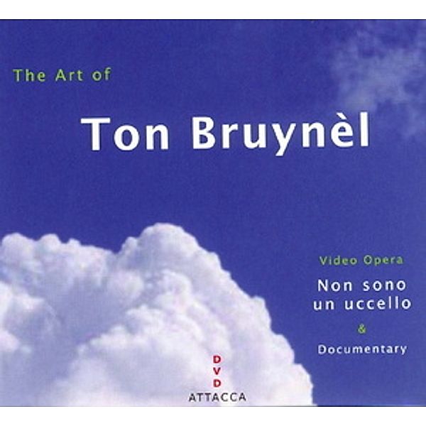 The Art of Ton Bruynel: Non sono un uccello, K. Woodward, Meens, Visser, Ens.nl Radio Choir