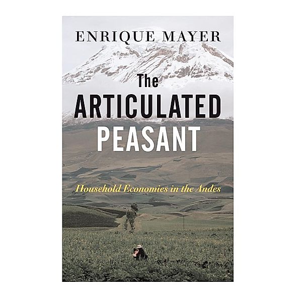 The Articulated Peasant, Enrique Mayer
