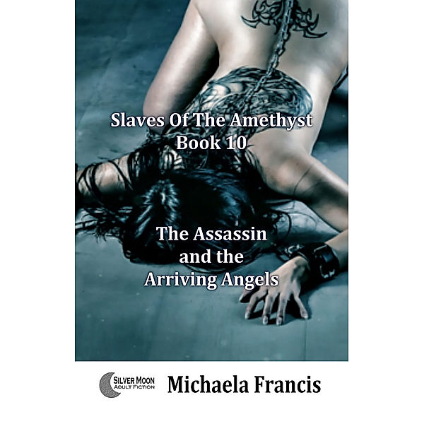 The Assassin and the Arriving Angels (Slaves of the Amethyst Book 10), Michaela Francis