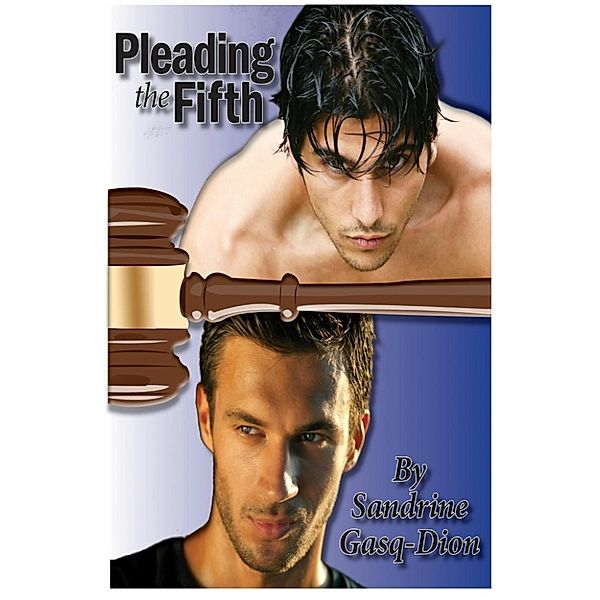 The Assassin Shifters: Pleading The Fifth (The Assassin Shifters, #13), Sandrine Gasq-Dion