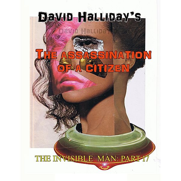 The Assassination of a Citizen (The Invisible Man, #17) / The Invisible Man, David Halliday