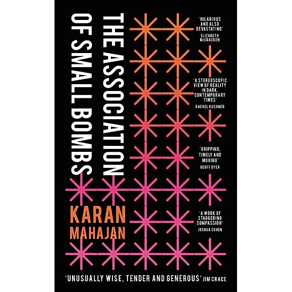 The Association of Small Bombs, Karan Mahajan