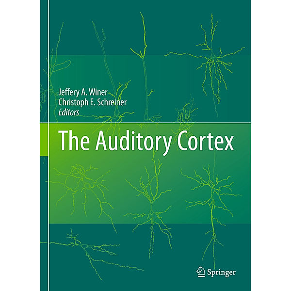 The Auditory Cortex