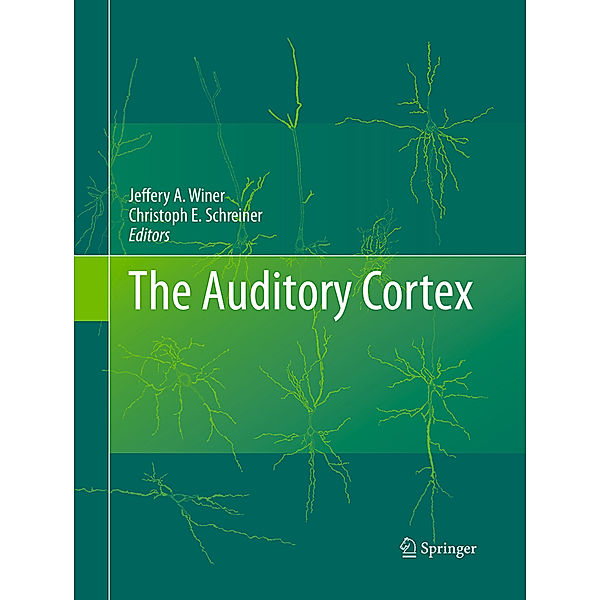 The Auditory Cortex