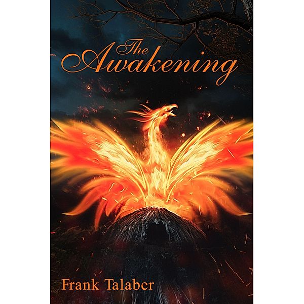 The Awakening (Stillwaters Runs Deep: Book, #3) / Stillwaters Runs Deep: Book, Frank Talaber