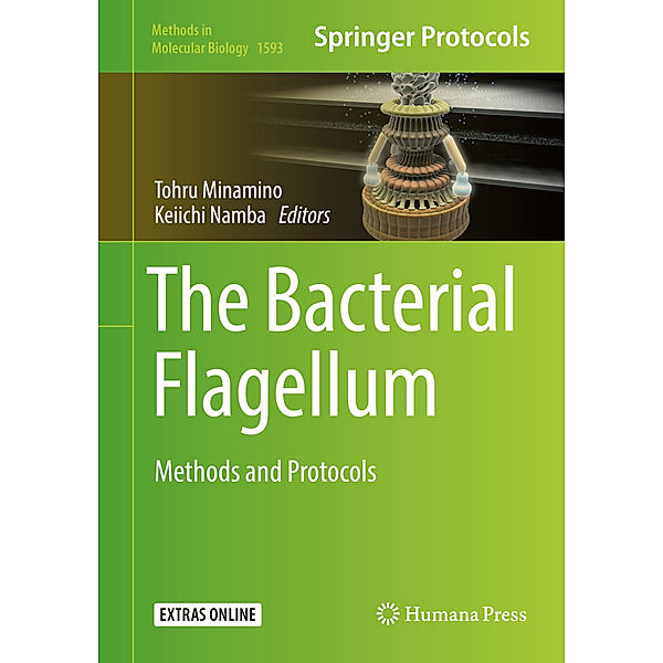 The Bacterial Flagellum