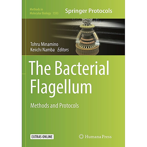 The Bacterial Flagellum