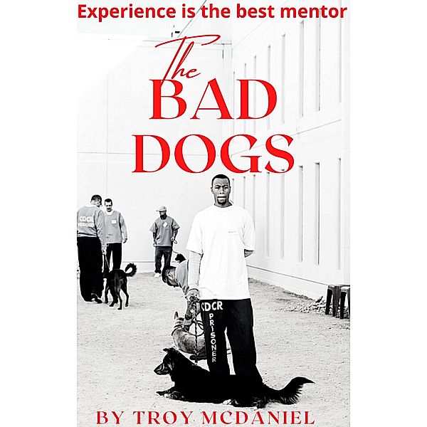 The Bad Dogs, Troy McDaniel