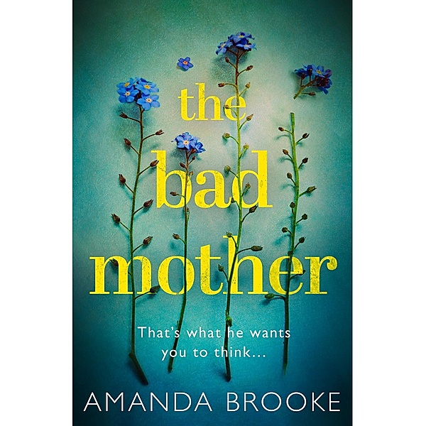 The Bad Mother, Amanda Brooke