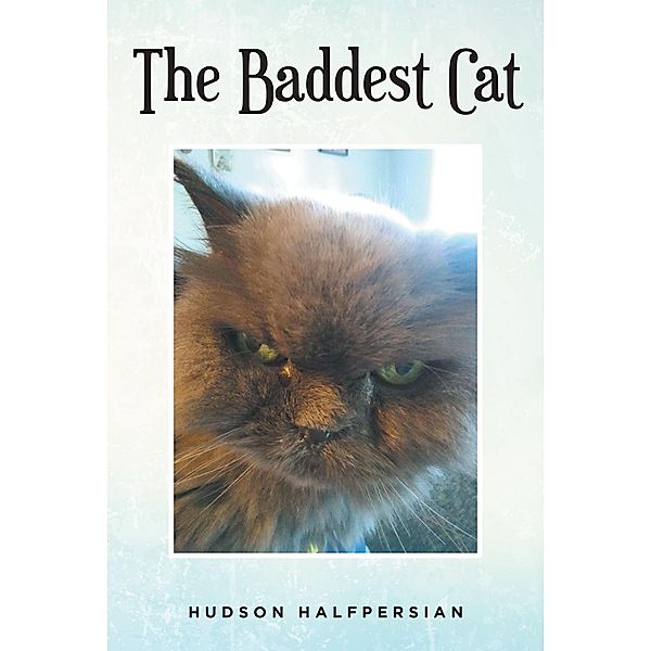 The Baddest Cat, Hudson Halfpersian