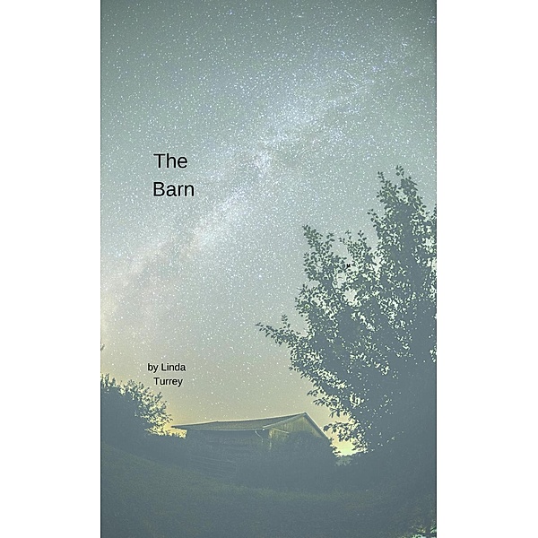 The Barn, Linda Turrey