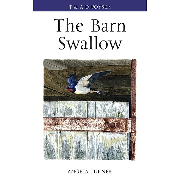 The Barn Swallow, Angela Turner