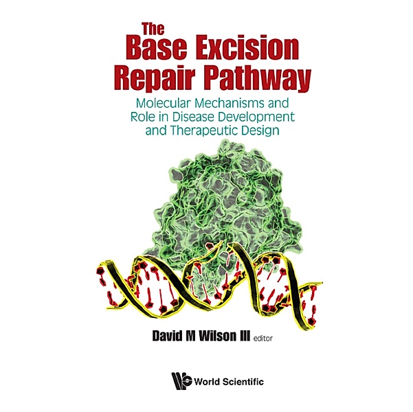 The Base Excision Repair Pathway