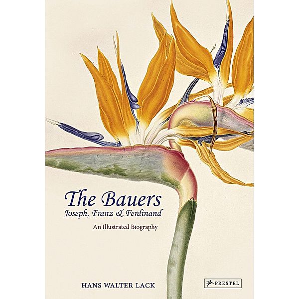 The Bauers, Hans Walter Lack