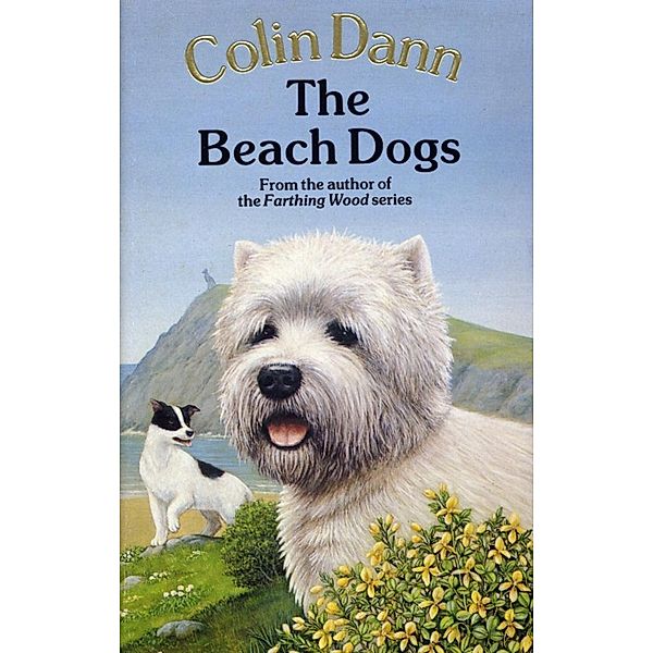 The Beach Dogs, Colin Dann