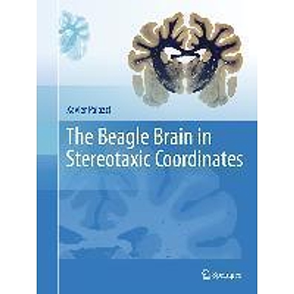 The Beagle Brain in Stereotaxic Coordinates, Xavier Palazzi