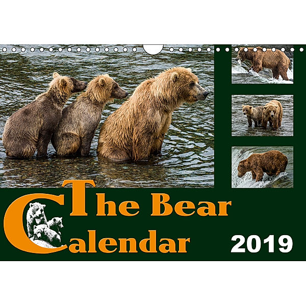 The Bear Calendar / UK-Version (Wall Calendar 2019 DIN A4 Landscape), Max Steinwald