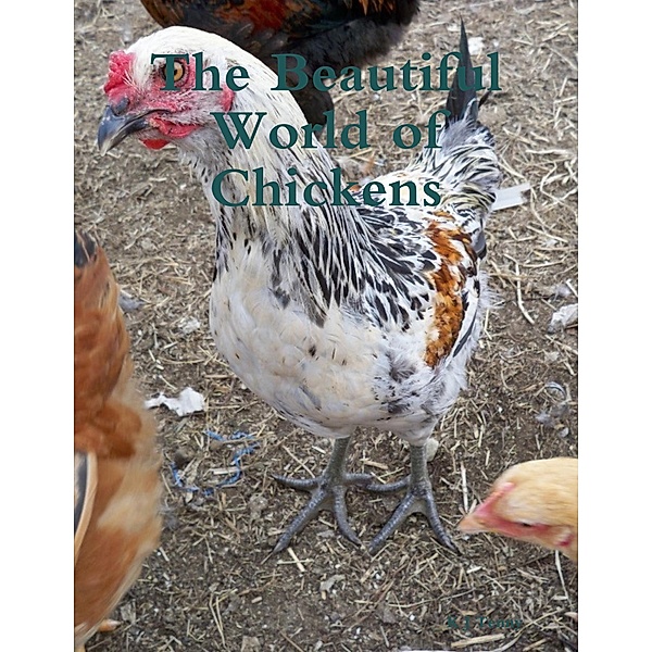 The Beautiful World of Chickens, K J Tenny