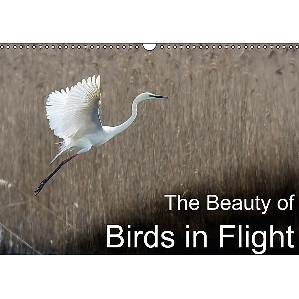 The Beauty of Birds in Flight (Wall Calendar 2017 DIN A3 Landscape), John Crabb