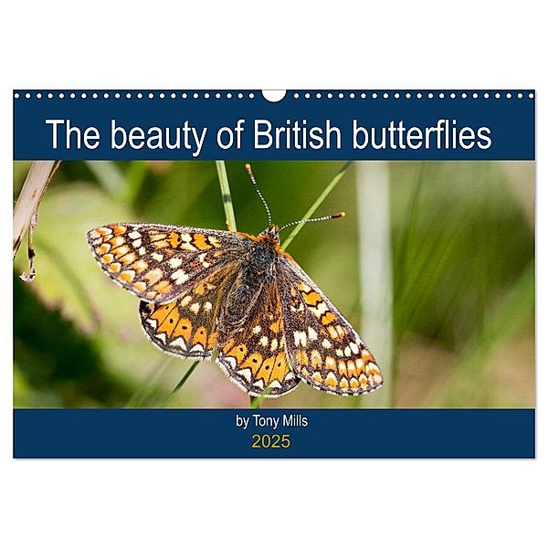 The beauty of British butterflies (Wall Calendar 2025 DIN A3 landscape), CALVENDO 12 Month Wall Calendar, Calvendo, Tony Mills