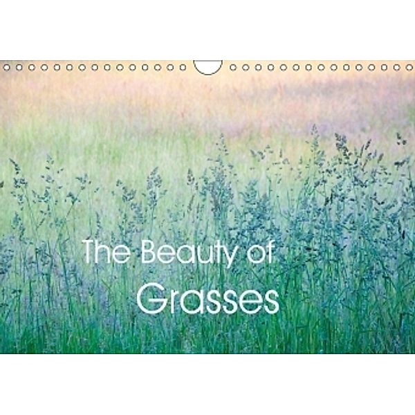 The Beauty of Grasses (Wall Calendar 2017 DIN A4 Landscape), Andrew Kearton