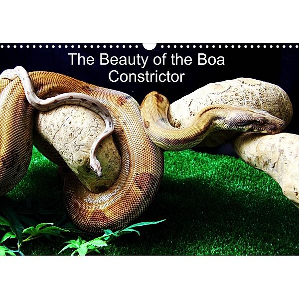 The Beauty of the Boa Constrictors (Wall Calendar 2023 DIN A3 Landscape), John Horton