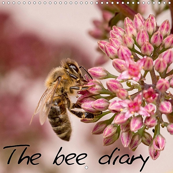 The bee diary (Wall Calendar 2021 300 × 300 mm Square), Zlatko Kropf