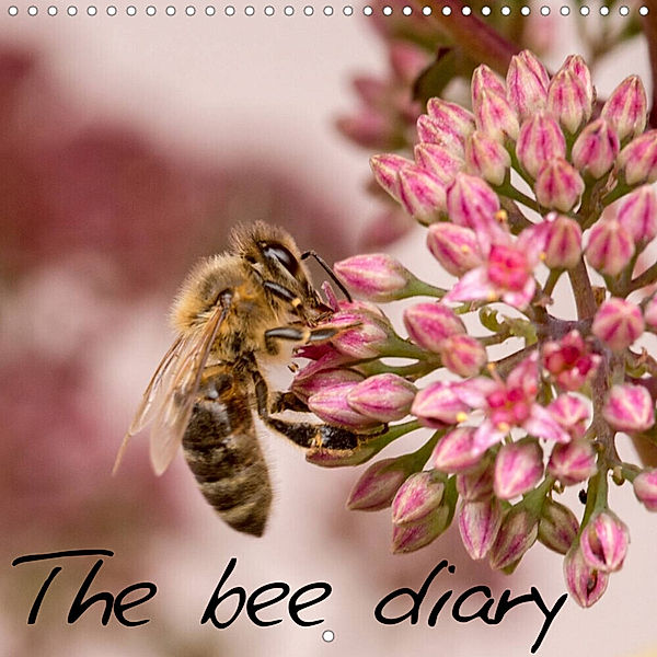 The bee diary (Wall Calendar 2023 300 × 300 mm Square), Zlatko Kropf