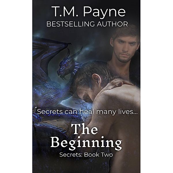 The Beginning: Secrets: Book Two / Secrets, T. M. Payne